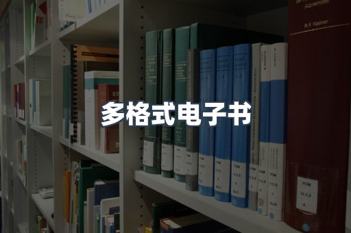 多格式电子书